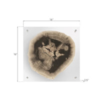 Floating Petrified Slice Wall Art - Wall Decor Frame Detail | Bone & Brass