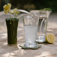 Bee Clear Iced Tea Glasses — Set of 6