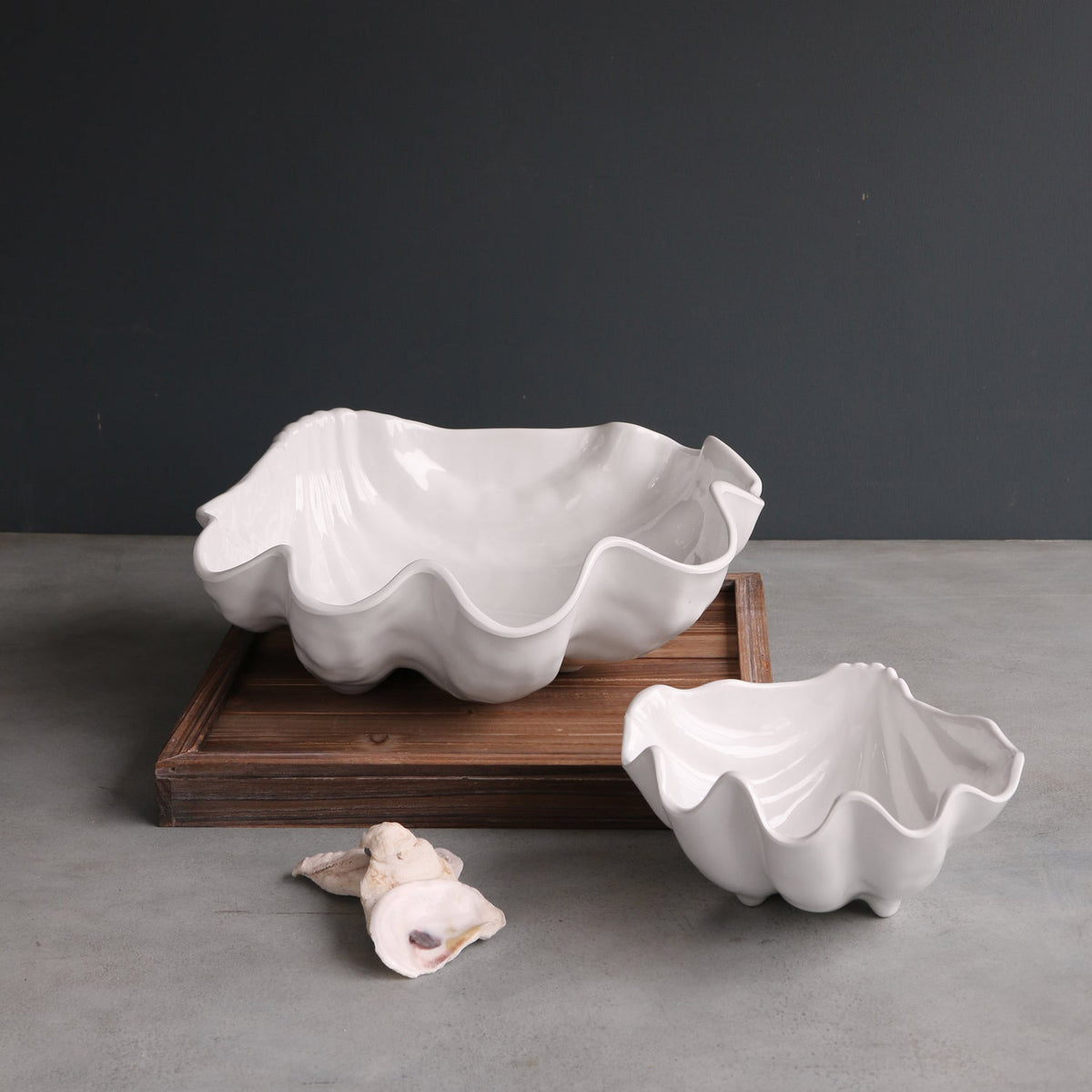 Vida Ocean Shell Small Bowl (White) - Bowl Top View | Bone & Brass