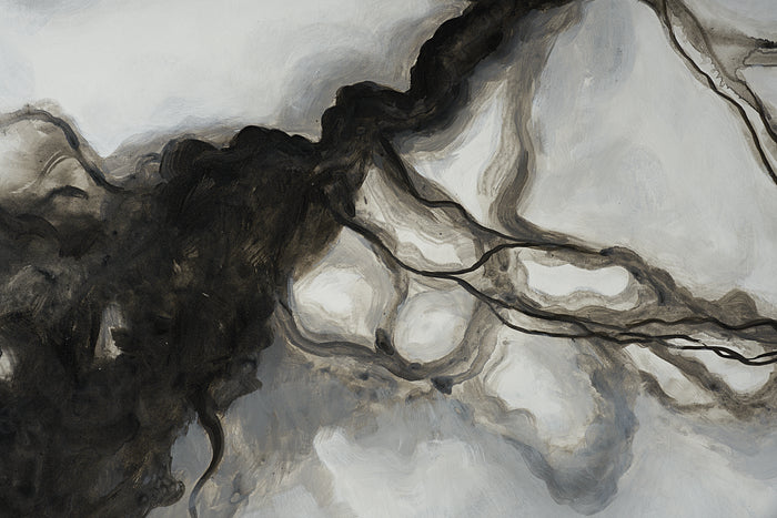 Smoke Screen 72" X 48" - Black Floater Frame