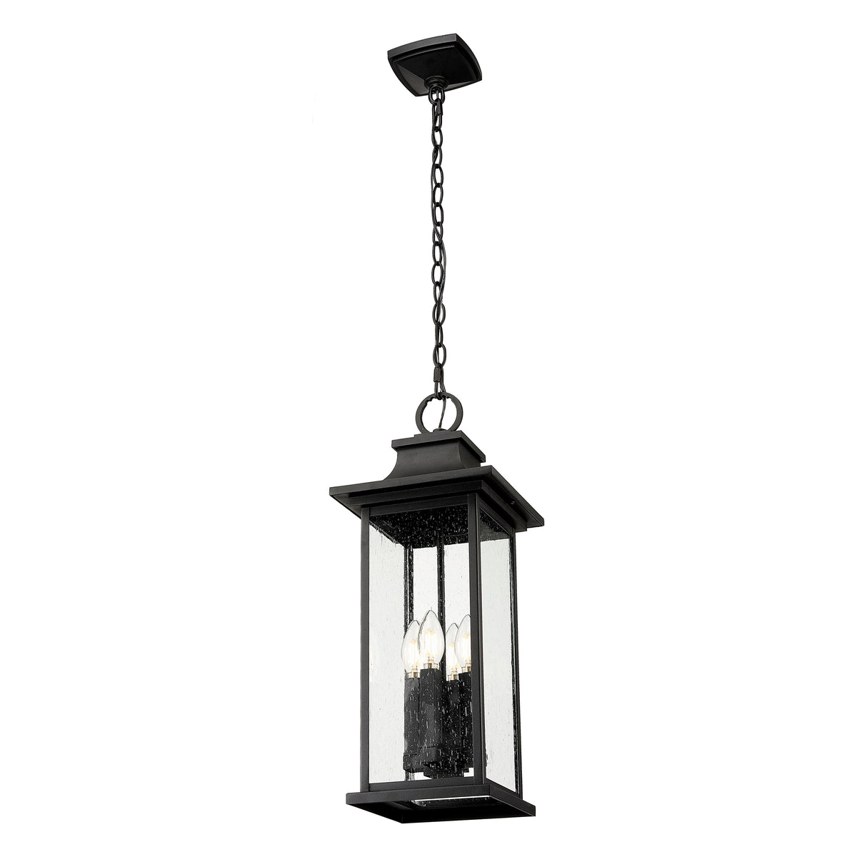 Black Seedy Glass Outdoor Pendant