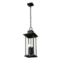 Black Seedy Glass Outdoor Pendant