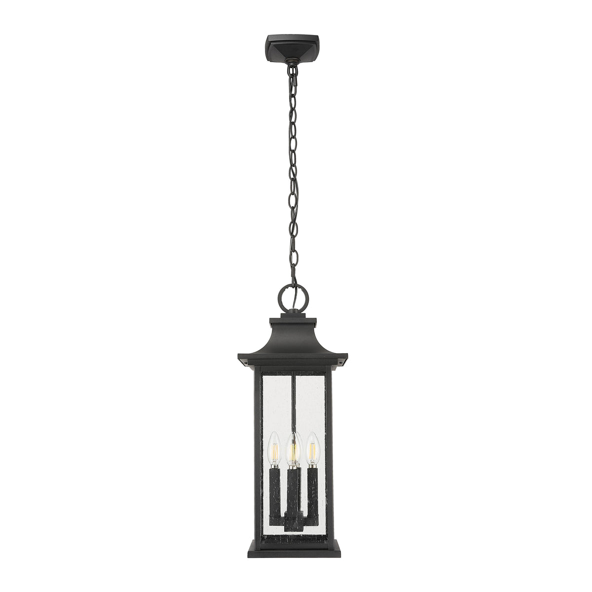 Black Seedy Glass Outdoor Pendant