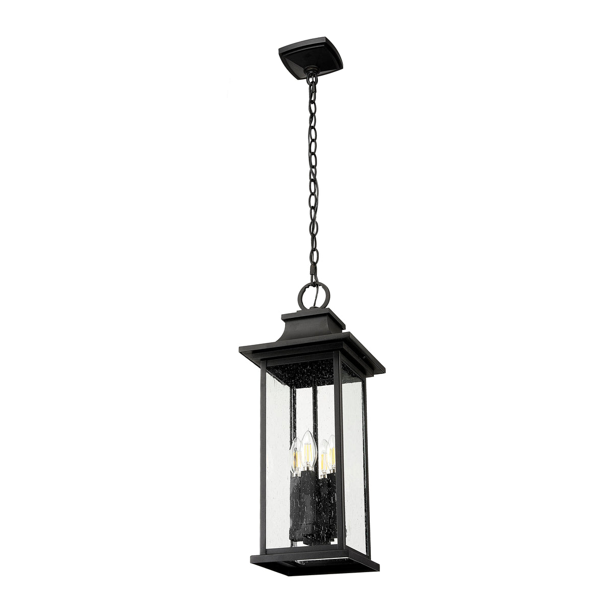 Black Seedy Glass Outdoor Pendant
