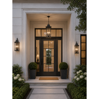Black Oversized Seedy Glass Outdoor Pendant