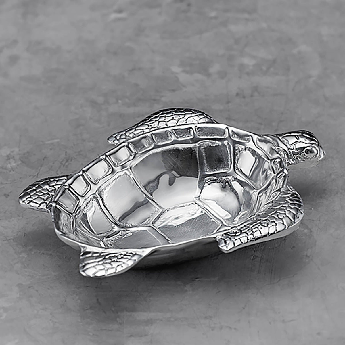 Silver Ocean Turtle Small Serving Bowl - Bowl Detail | Bone & Brass