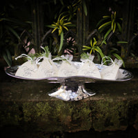 Pedestal Soho Small Oval Cracker Tray - Pedestal Detail | Bone & Brass