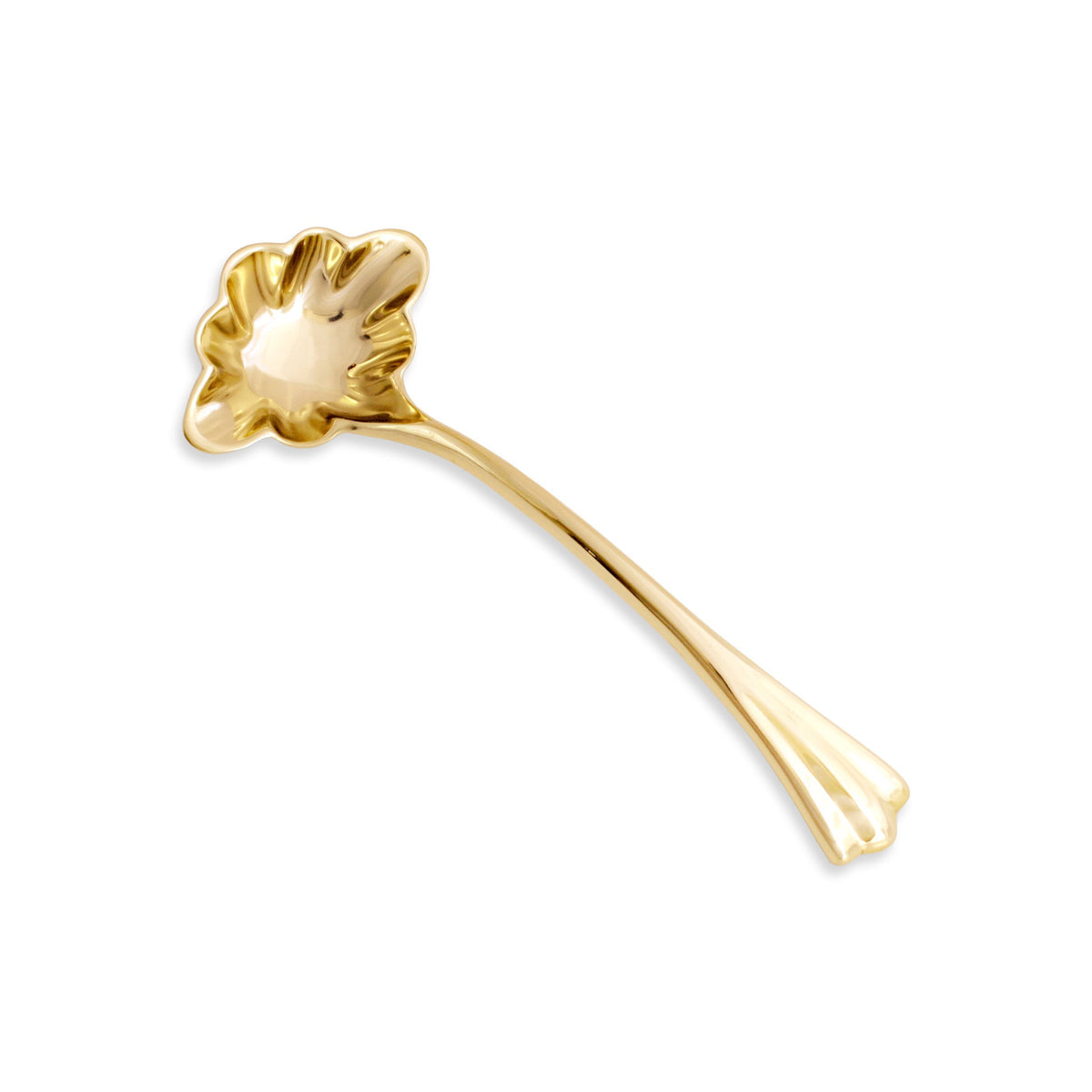 Sierra Modern Vintage Ladle Gold | Bone & Brass