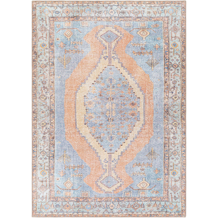 Amelie Blue & Coral Chenille Washable Rug with traditional design and intricate patterns.