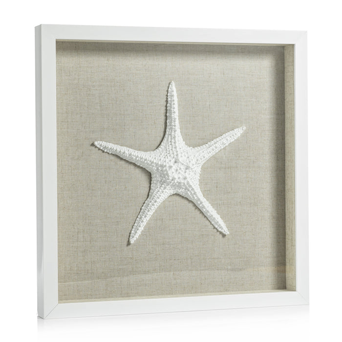 Arlo White Framed Starfish Wall Décor | Bone & Brass