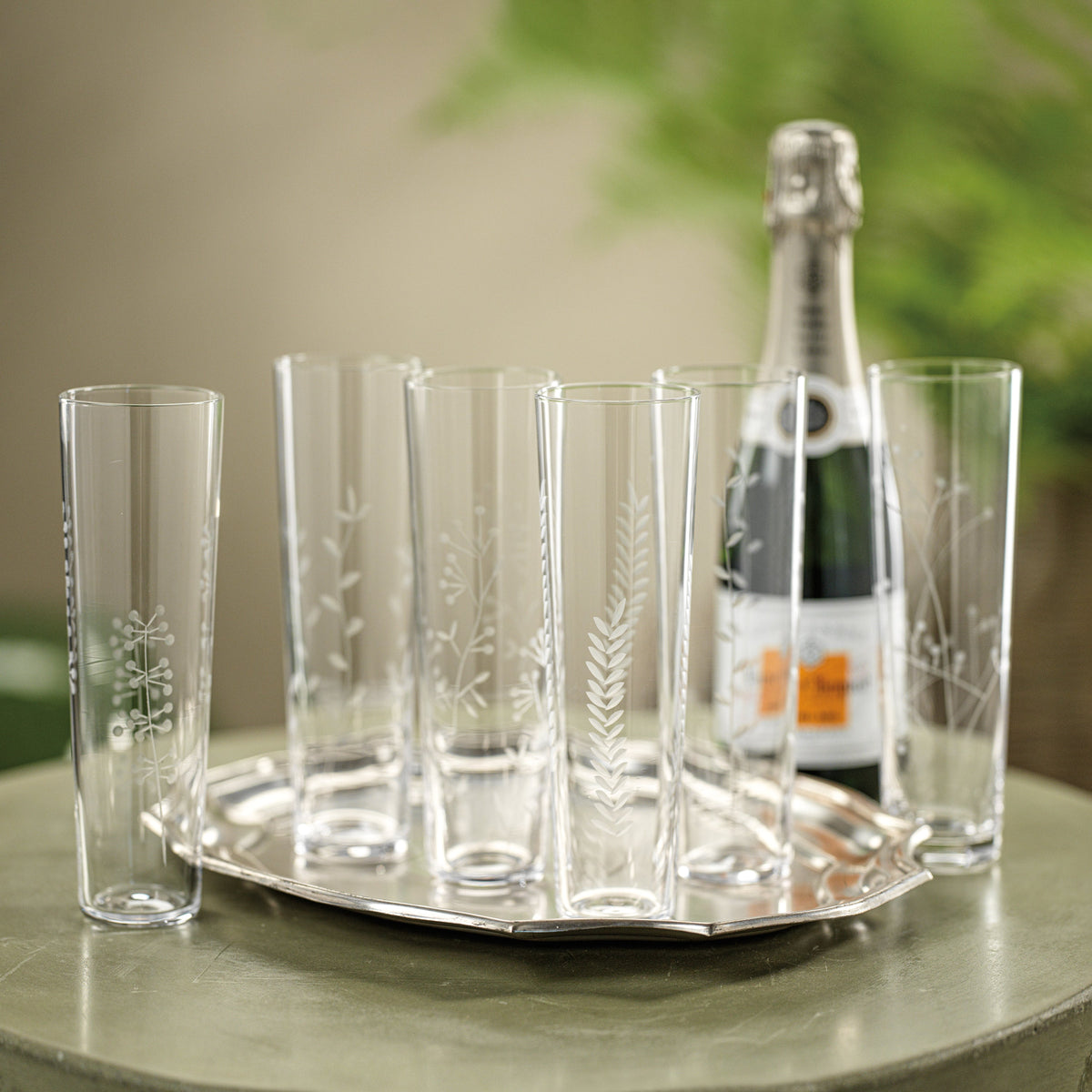 Assorted Botanical Etched Flutes, Set of 6 - Glass Stem Detail | Bone & Brass