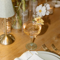 Glass Aquarelle Coupe Set 4 (Multi) - Glass Detail | Bone & Brass
