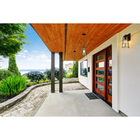 Black Helix Medium Outdoor Pendant