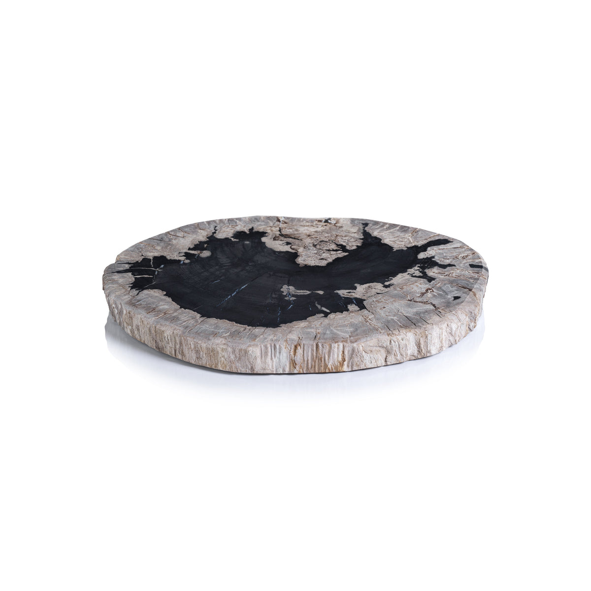 Brasilian Black & Natural Petrified Wood Cheese Board | Bone & Brass