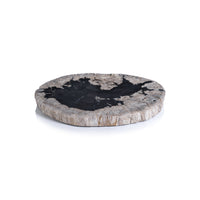 Brasilian Black & Natural Petrified Wood Cheese Board | Bone & Brass
