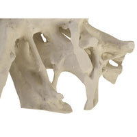 Off-white Roman Stone resin coffee table base with a natural, root-inspired design.