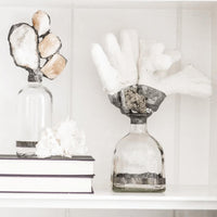 Coral Pyrite Decorative Bottle - Bottle Detail | Bone & Brass