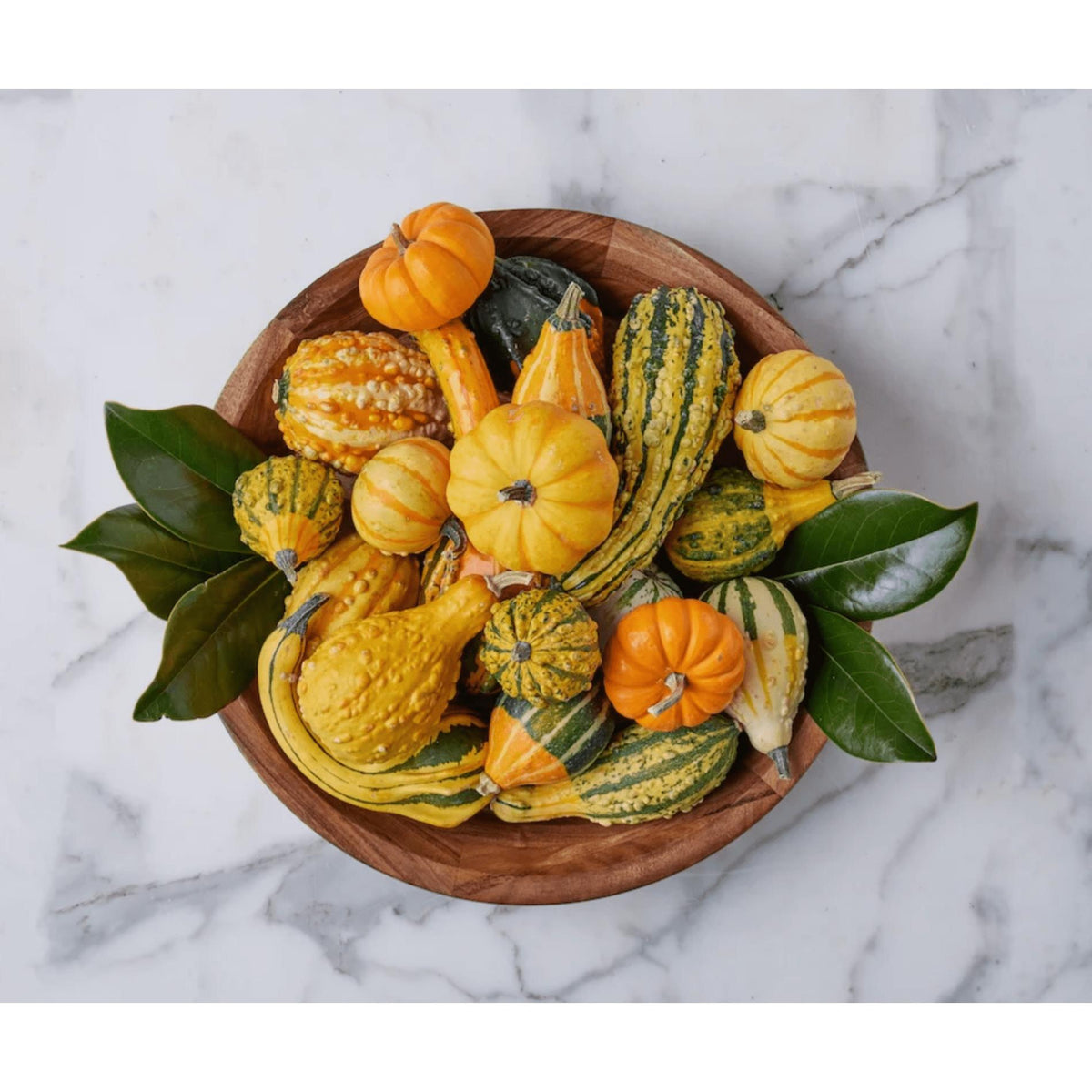 Acacia wood serving bowl, 15-inch, filled with colorful decorative gourds and green leaves on marble.