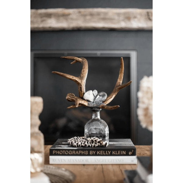 Criss Cross Decorative Glass Antler Bottle - Bottle Detail | Bone & Brass