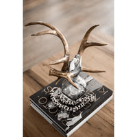 Criss Cross Decorative Glass Antler Bottle - Bottle Side View | Bone & Brass