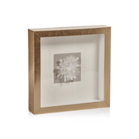 Crystaline Gold Framed Clear Crystal Wall Decor | Bone & Brass