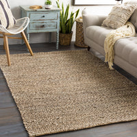 Curacao Taupe & Cream Jute Rug, a durable woven rug with natural charm, in a modern living space.