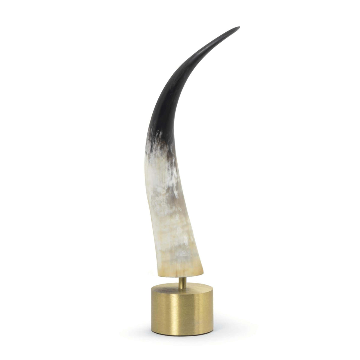 Daylon Horn Large sculpture: natural horn with matte finish on a brass base.