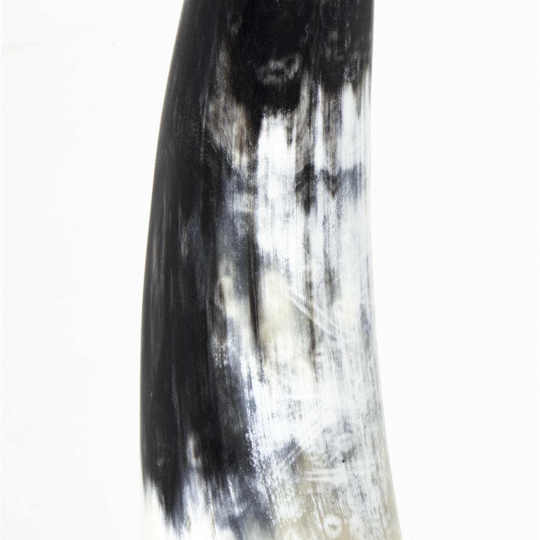 Daylon Horn Small: Matte black and white natural horn sculpture on a brass base.