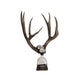 Double Large Geode Decorative Antler Bottle - Bottle Side View | Bone & Brass