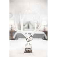Double Large Geode Decorative Antler Bottle - Bottle Detail | Bone & Brass