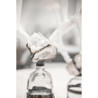 Double Large Geode Decorative Antler Bottle - Bottle Side View | Bone & Brass