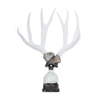 Double Large Geode Decorative Antler Bottle | Bone & Brass
