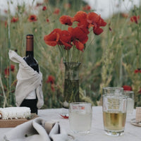 Dragonfly Clear Glass Tumblers – Set of 6