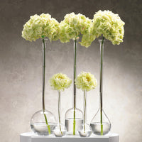 Finchem Long Neck Bell Shaped Vase - Vase Top View | Bone & Brass