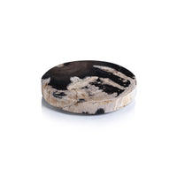 Florenza Black & Natural Petrified Wood Cheese Board | Bone & Brass