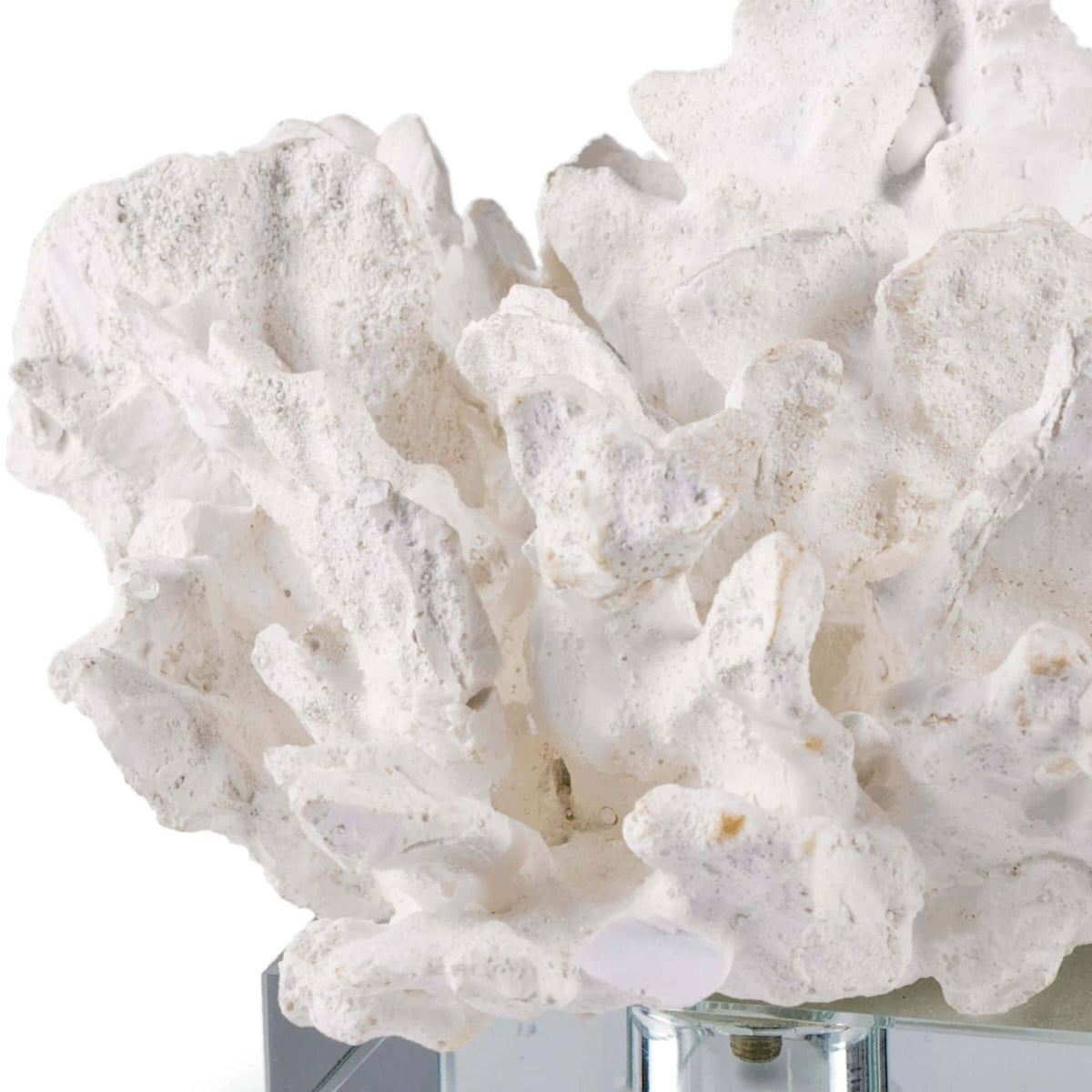 Flower Coral On Crystal Base White - Side View | Bone & Brass