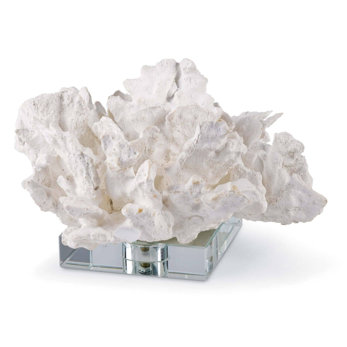 Flower Coral On Crystal Base White | Bone & Brass