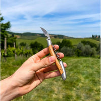 Forge de Laguiole Corkscrew Olive wood - Satin - Corkscrew Detail | Bone & Brass