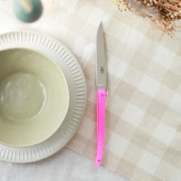 Jean-Michel Wilmotte Set 6 Steak Knives Full Acrylic Handle