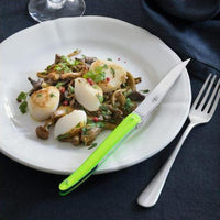 Jean-Michel Wilmotte Set 6 Steak Knives Full Acrylic Handle