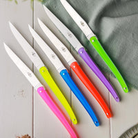 Jean-Michel Wilmotte Set 6 Steak Knives Full Acrylic Handle