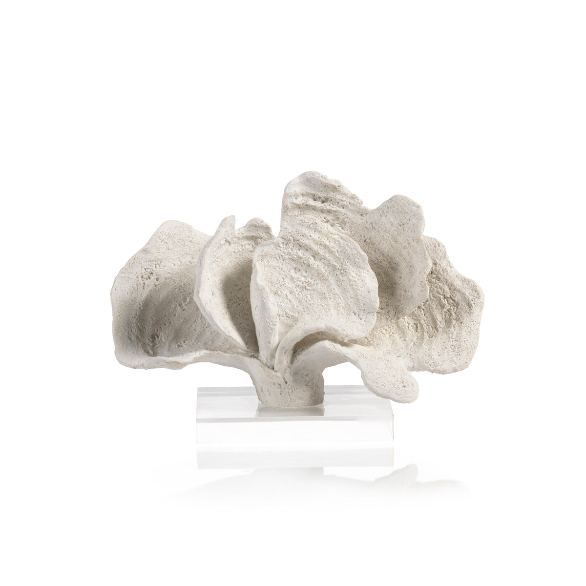Kali Coral Sculpture on Acrylic Base, White | Bone & Brass