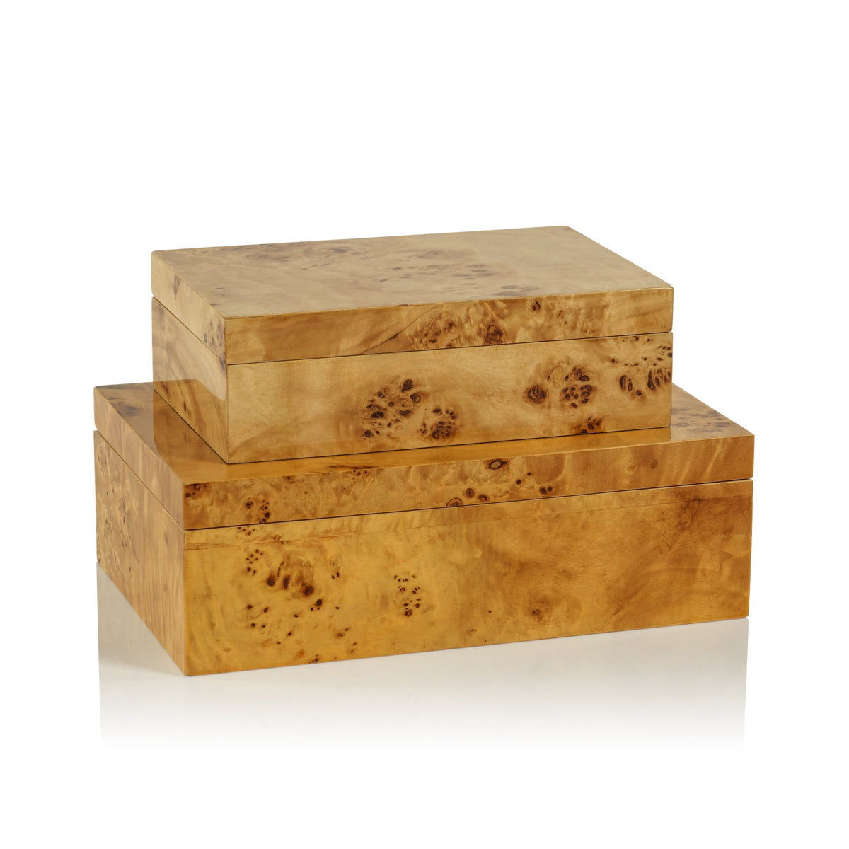 Leiden Burl Wood Decorative Box, Large - Box Interior View | Bone & Brass