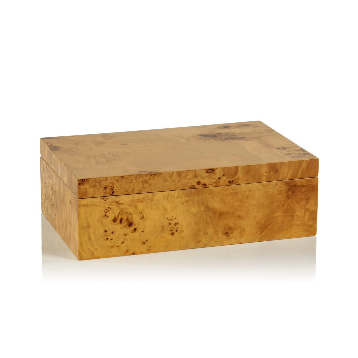 Leiden Burl Wood Decorative Box, Large | Bone & Brass