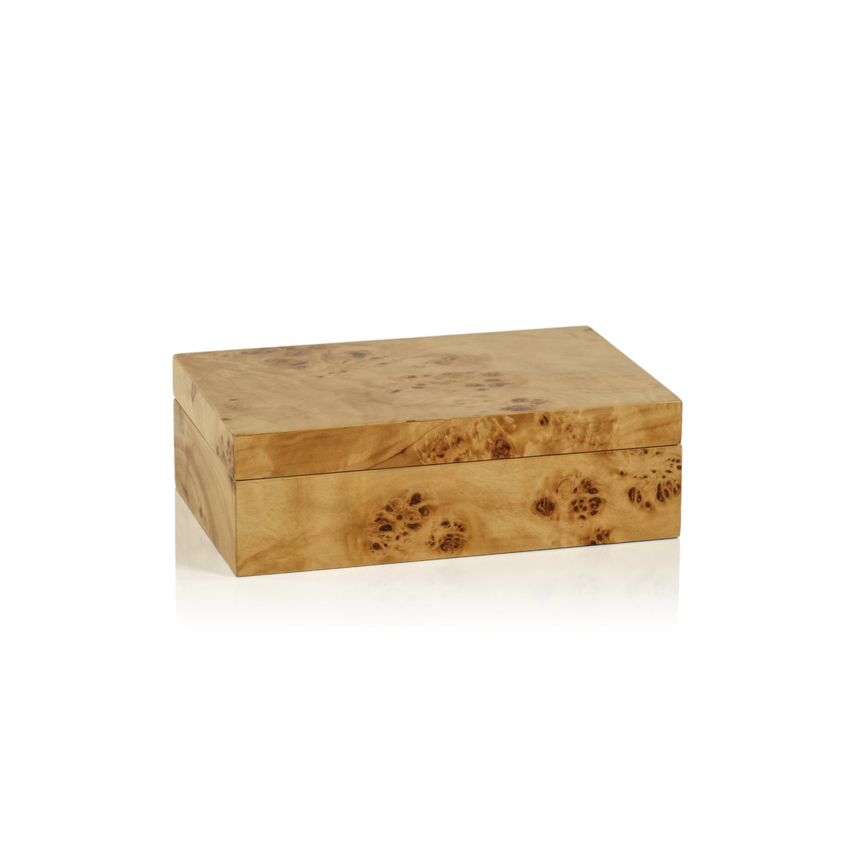 Leiden Burl Wood Decorative Box, Small | Bone & Brass