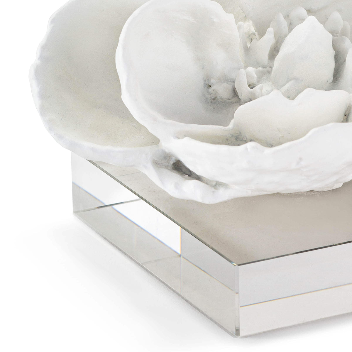 White magnolia bloom sculpture on a clear crystal base, 5" tall, modern glam style.