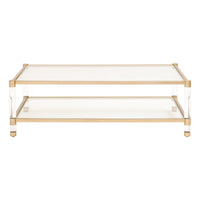 Novel Brass & Lucite Coffee Table - Table Side View | Bone & Brass
