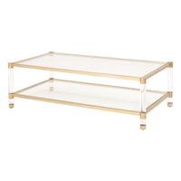 Novel Brass & Lucite Coffee Table | Bone & Brass