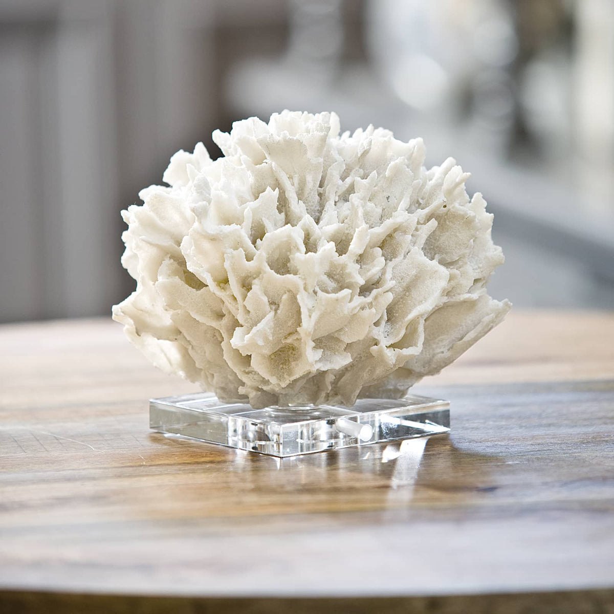 White resin ribbon coral replica on a clear crystal base, a sophisticated decorative accessory.