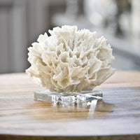White resin ribbon coral replica on a clear crystal base, a sophisticated decorative accessory.